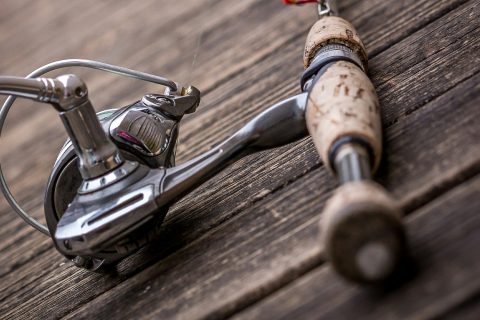 en-guide-til-valg-af-den-perfekte-fiskestang - Fangst Feber